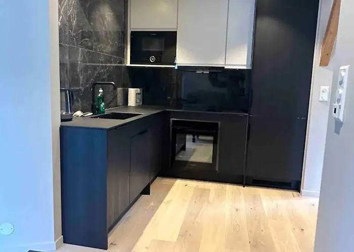 Sentral Moderne Leilighet