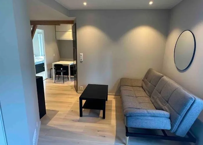 Sentral Moderne Leilighet
